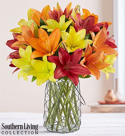 Country Splendor™ Lilies by Southern Living®